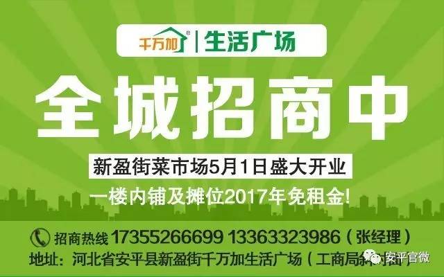 榆阳区人力资源和社会保障局最新招聘信息详解