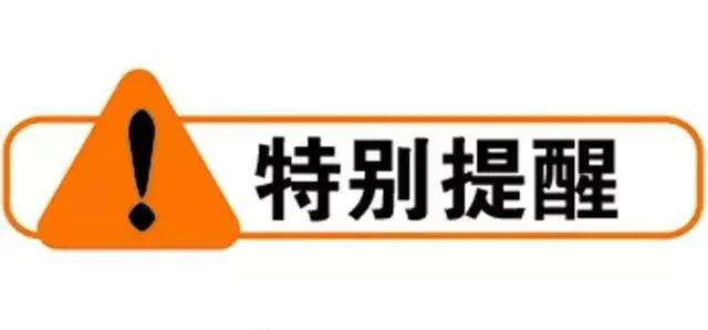 镇海区财政局最新新闻动态深度解析