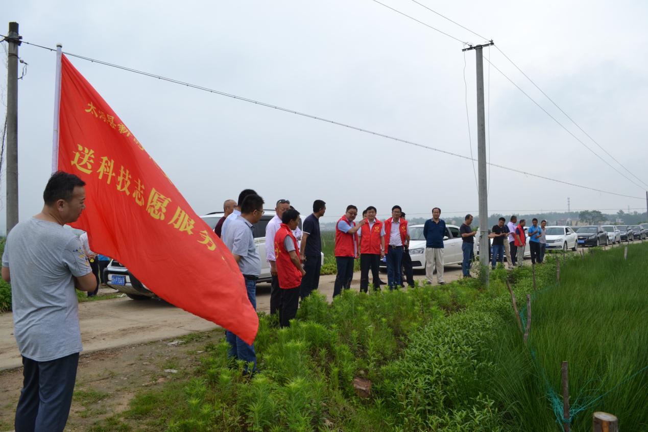 太湖县市场监管局启动新项目，推动现代化监管助力经济高质量发展