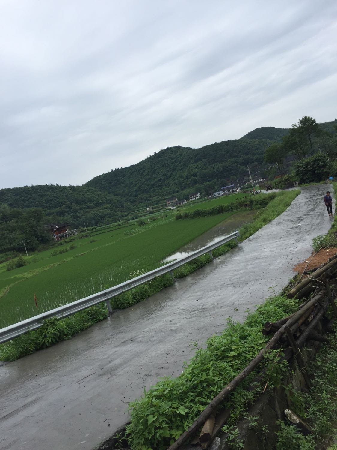 罗家坪村委会天气预报更新通知