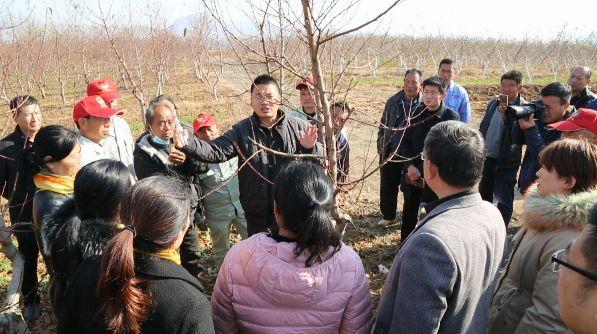 山亭区科技局新闻动态解析报告