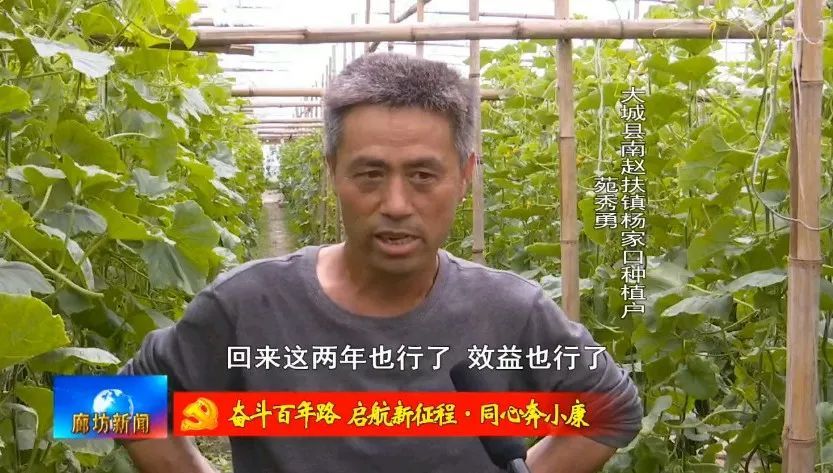 南赵扶镇最新新闻简报