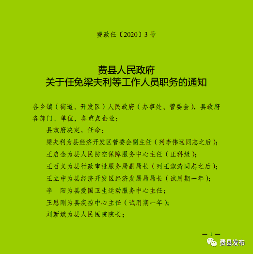 费县文化局人事任命揭晓，开启文化事业崭新篇章