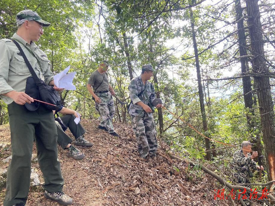 道县月岩林场新任领导团队引领林场发展概述