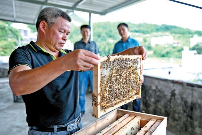 河源市扶贫开发领导小组办公室最新招聘启事