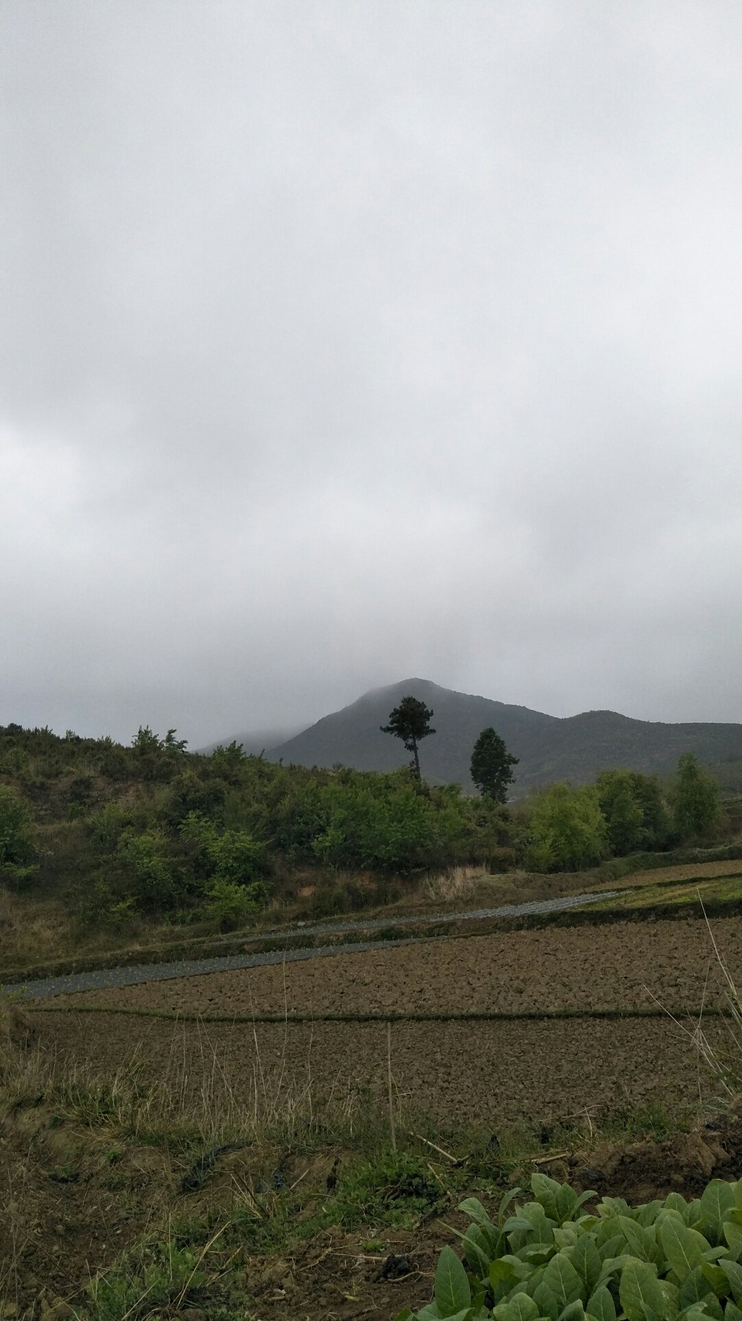 雷公塔镇天气预报更新通知